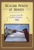 Healing Power Of Horses - Lessons From The Lakota Indians (Hardcover) - Wendy Beth Baker Photo