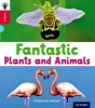 Oxford Reading Tree Infact: Oxford Level 4: Fantastic Plants and Animals (Paperback) - Catherine Veitch Photo