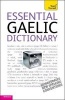 Essential Gaelic Dictionary: Teach Yourself (Paperback) - Boyd Robertson Photo