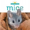 Mice (Hardcover) - Kate Riggs Photo