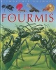 Fourmis - Imagerie Animale (French, Paperback) - Sabine Boccador Photo