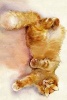 A Watercolor Painting of an Orange Tabby Cat - Blank 150 Page Lined Journal for Your Thoughts, Ideas, and Inspiration (Paperback) - Unique Journal Photo