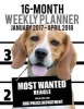 Most Wanted Beagle 2017-2018 Weekly Planner - 16 Month - Large (11 X 8.5-Inches) Daily Diary Monthly Yearly Calendar (Paperback) - Ironpower Publishing Photo