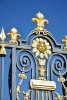 Gilded Fleur de Lis Gate Detail at the Palace of the Sun France Journal - 150 Page Lined Notebook/Diary (Paperback) - Cs Creations Photo