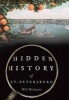 Hidden History of St. Petersburg (Paperback) - Will Michaels Photo