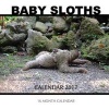 Baby Sloth Calendar 2017 - 16 Month Calendar (Paperback) - David Mann Photo