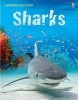 Sharks (Hardcover) - Jonathan Shiekh Miller Photo