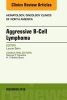 Aggressive B- Cell Lymphoma, an Issue of Hematology/Oncology Clinics of North America (Hardcover) - Laurie Sehn Photo