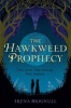 The Hawkweed Prophecy (Hardcover) - Irena Brignull Photo