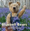 Bluebell Bears - A Counting Book (Board book) - David Ellwand Photo