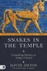 Snakes in the Temple - Unmasking Idolotry in Today's Church (Paperback) - David Orton Photo