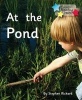 At the Pond (Paperback) - Stephen Rickard Photo