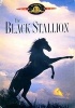 Black Stallion (Region 1 Import DVD) - Rooney Mickey Photo