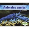 Animales Azules (Spanish, Paperback) - Teddy Borth Photo