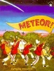 Meteor (Paperback) - Patricia Polacco Photo