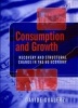 Consumption and Growth - Recovery and Structural Change in the US Economy (Hardcover, illustrated edition) - Davide Gualerzi Photo