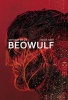 Beowulf (Hardcover) - David Rubin Photo