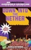 Down into the Nether, Book 4 (Paperback) - Danica Davidson Photo