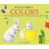 White Rabbit's Colors (Hardcover) - Alan Baker Photo