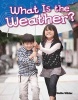 What Is the Weather? (Kindergarten) (Paperback) - Nellie Wilder Photo