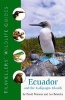 Ecuador and the Galapagos Islands - Traveller's Wildlife Guides (Paperback) - David L Pearson Photo