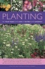 Planting for Visual Impact and Scent in Borders and Containers - A Complete Guide to Choosing and Using Annuals, Perennials, Shrubs, Bulbs and Decorative Foliage, with Practical Step-by-Step Sequences and 580 Fabulous Photographs (Paperback) - Richard Bir Photo