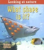 What Shape is It? (Paperback) - Bobbie Kalman Photo