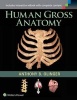 Human Gross Anatomy (Paperback) - Anthony B Olinger Photo