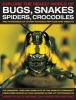 Explore the Deadly World of Bugs, Snakes, Spiders, Crocodiles (Paperback) - Barbara Taylor Photo