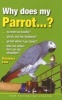 Why Does My Parrot...? (Paperback, Revised, Update) - Rosemary Low Photo