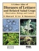 A Colour Atlas of Diseases of Lettuce and Related Salad Crops - Observation, Biology and Control (Hardcover) - Dominique Blancard Photo