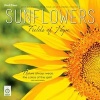 Sunflowers 2017 Wall Calendar (Calendar) - Brush Dance Photo