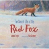 The Secret Life of the Red Fox (Hardcover) - Laurence Pringle Photo