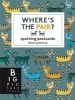 Where's the Pair? Spotting Postcards (Paperback) - Britta Teckentrup Photo