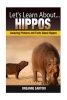 Hippos (Paperback) - Breanne Sartori Photo