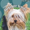 I Love My Yorkshire Terrier (Paperback) - Abigail Beal Photo