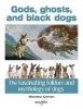 Gods, Ghosts and Black Dogs - The Fascinating Folklore and Mythology of Dogs (Paperback) - Stanley Coren Photo