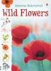 Wild Flowers (Paperback) -  Photo