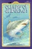 Sharks (Paperback) - Ginjer Clarke Photo