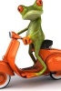 Frog on a Scooter, Ciao - Blank 150 Page Lined Journal for Your Thoughts, Ideas, and Inspiration (Paperback) - Unique Journal Photo