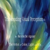 Transcending Visual Perception - Introduction to My Art (Paperback) - Bereniche Aguiar Photo