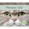 Persian Cats (Hardcover) - Meredith Dash Photo