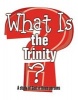 What is the Trinity? - A Study of God in Three Persons (Paperback) - Abingdon Press Photo