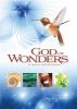 God of Wonders - A Daily Devotional (Hardcover) - David A Steen Photo