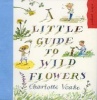 A Little Guide to Wild Flowers (Paperback) - Charlotte Voake Photo