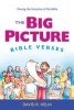 The Big Picture Bible Verses - Tracing the Storyline of the Bible (Pamphlet) - David R Helm Photo