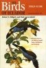 The Birds of Ecuador, Vol II: Field Guide (Paperback) - Robert S Ridgely Photo