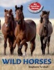 Wild Horses (Paperback) - Stephanie Turnbull Photo