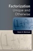 Factorization - Unique and Otherwise (Hardcover) - Steven H Weintraub Photo