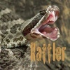 Rattler (Paperback) - Mary Batten Photo